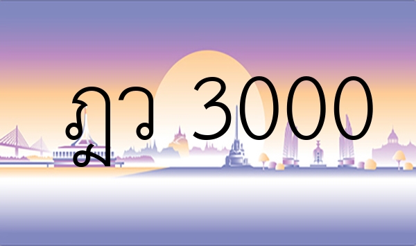 ฎว 3000